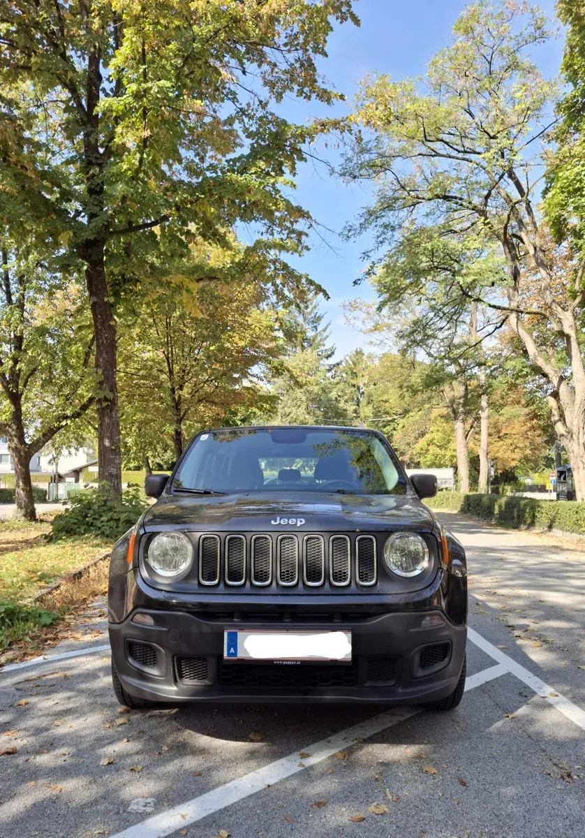 Jeep Renegade 2016 photo 2