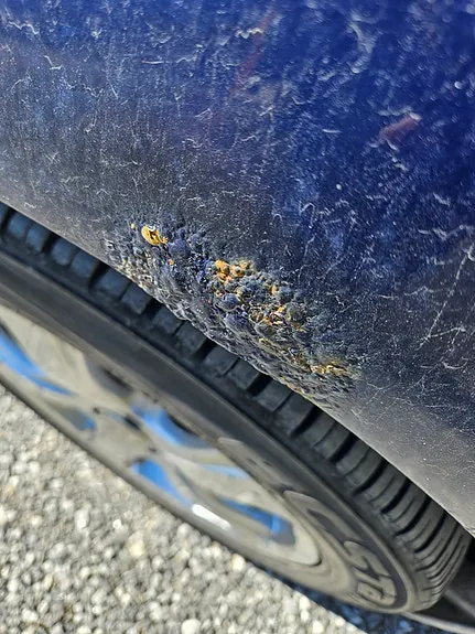 Subaru Impreza 2000 photo 2