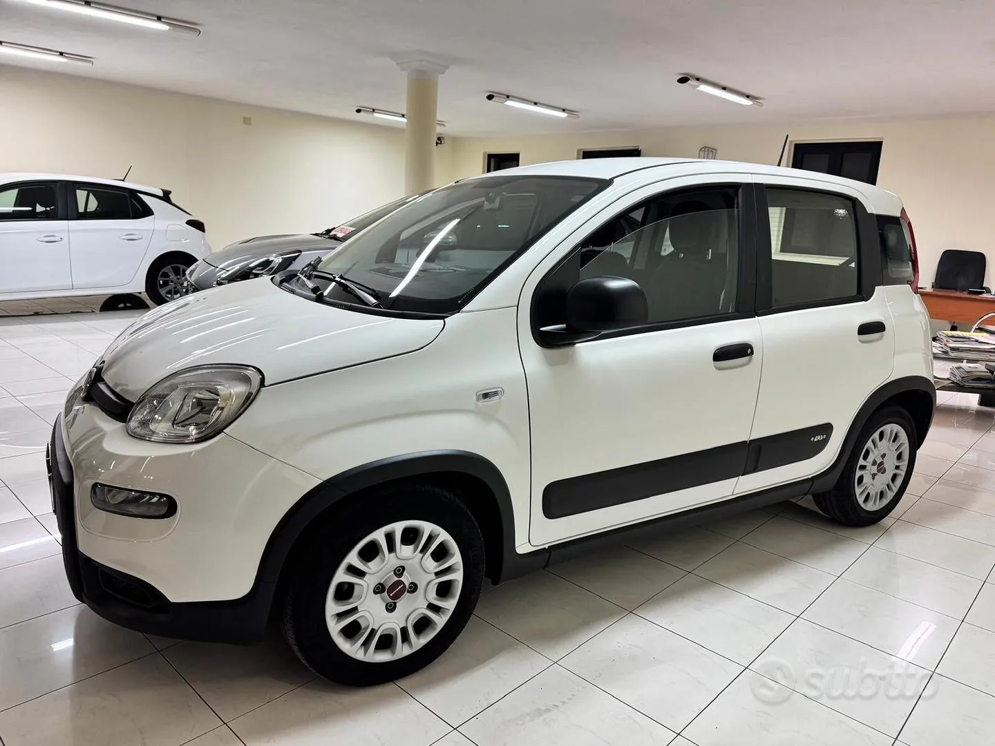 Fiat Panda 2024 photo 3