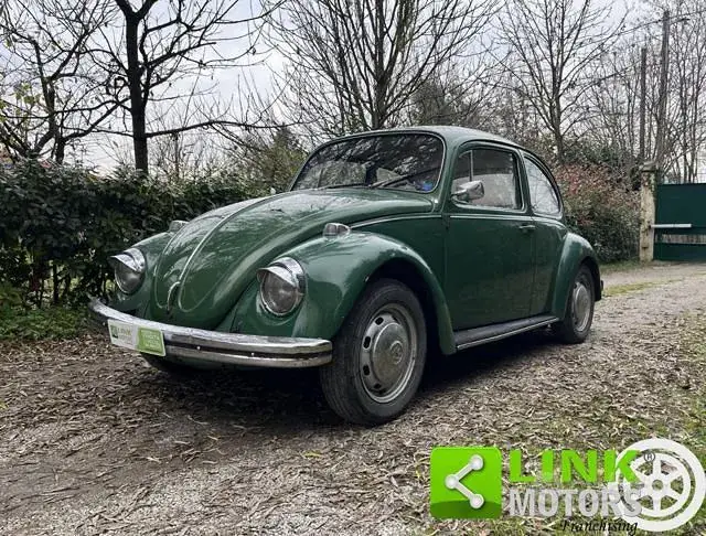 Volkswagen Maggiolino
