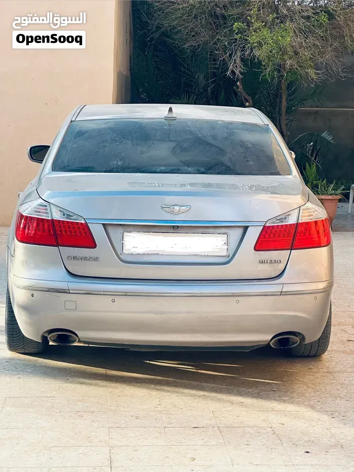 Genesis Sonata 2010 photo 4