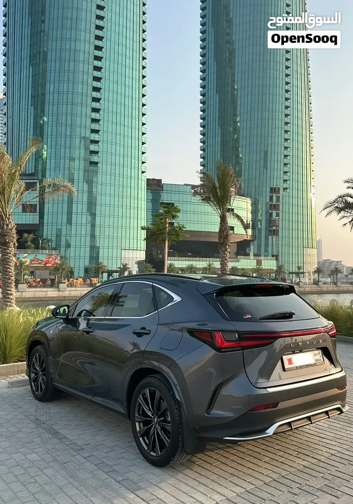 Lexus Nx 350 2024 photo 4