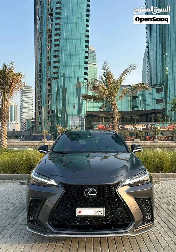 Lexus Nx 350 2024 photo 5