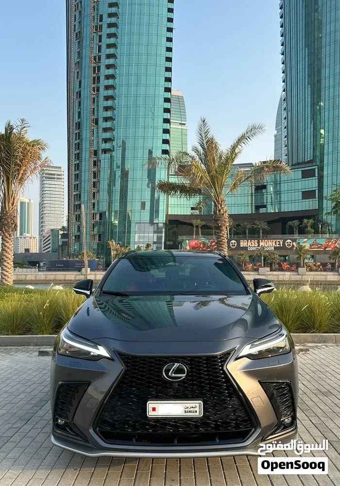 Lexus Nx 350 2024 photo 3
