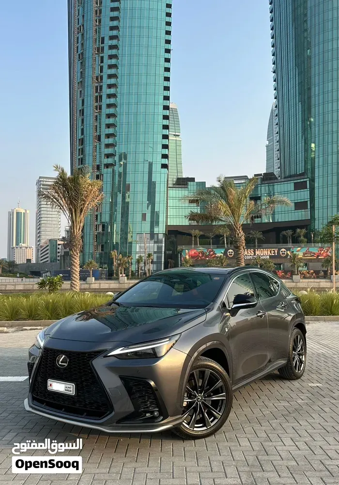 Lexus Nx 350 2024 photo 2
