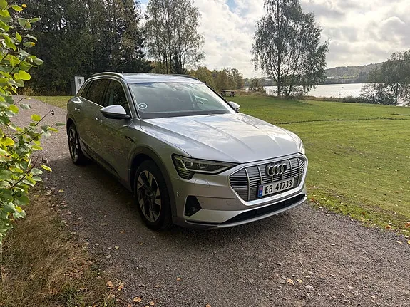 Audi E-Tron 2020 photo 3