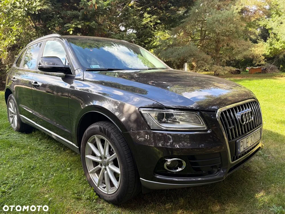 Audi Q5 2016 photo 2