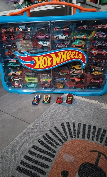 Hot Wheels Auto-Organizer
