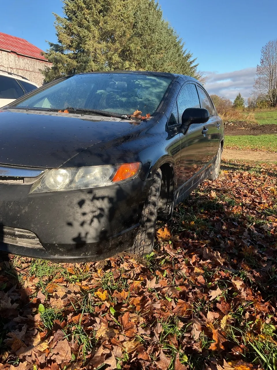 Honda Civic 2006 photo 4
