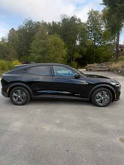 Ford Mustang Mach-E 2022 photo 3