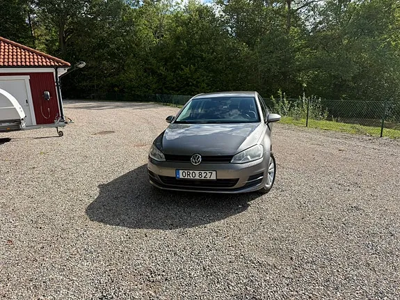 Volkswagen Golf Vii 2014 photo 2
