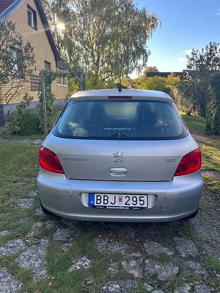 Peugeot 307 2007 photo 4