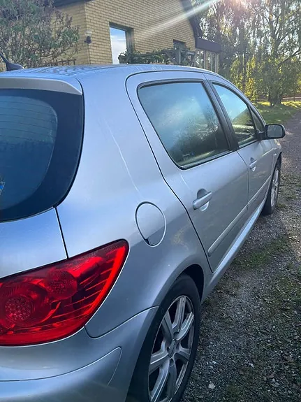Peugeot 307 2007 photo 3
