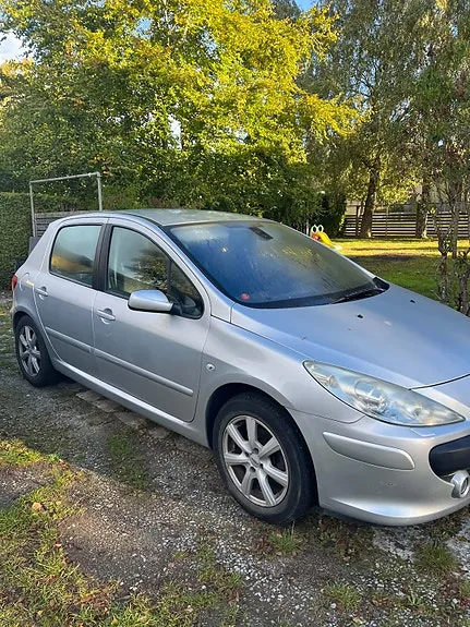 Peugeot 307 2007 photo 2