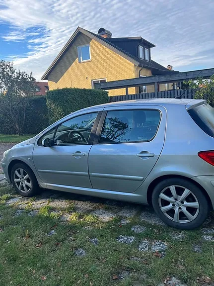 Peugeot 307 2007 photo 5