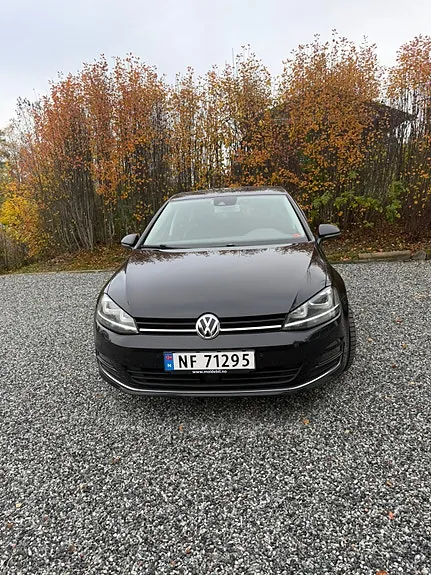 Volkswagen Golf 7 2015 photo 3