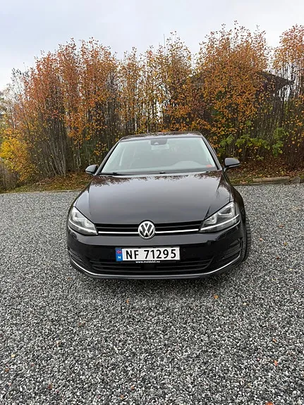 Volkswagen Golf 7 2015 photo 2