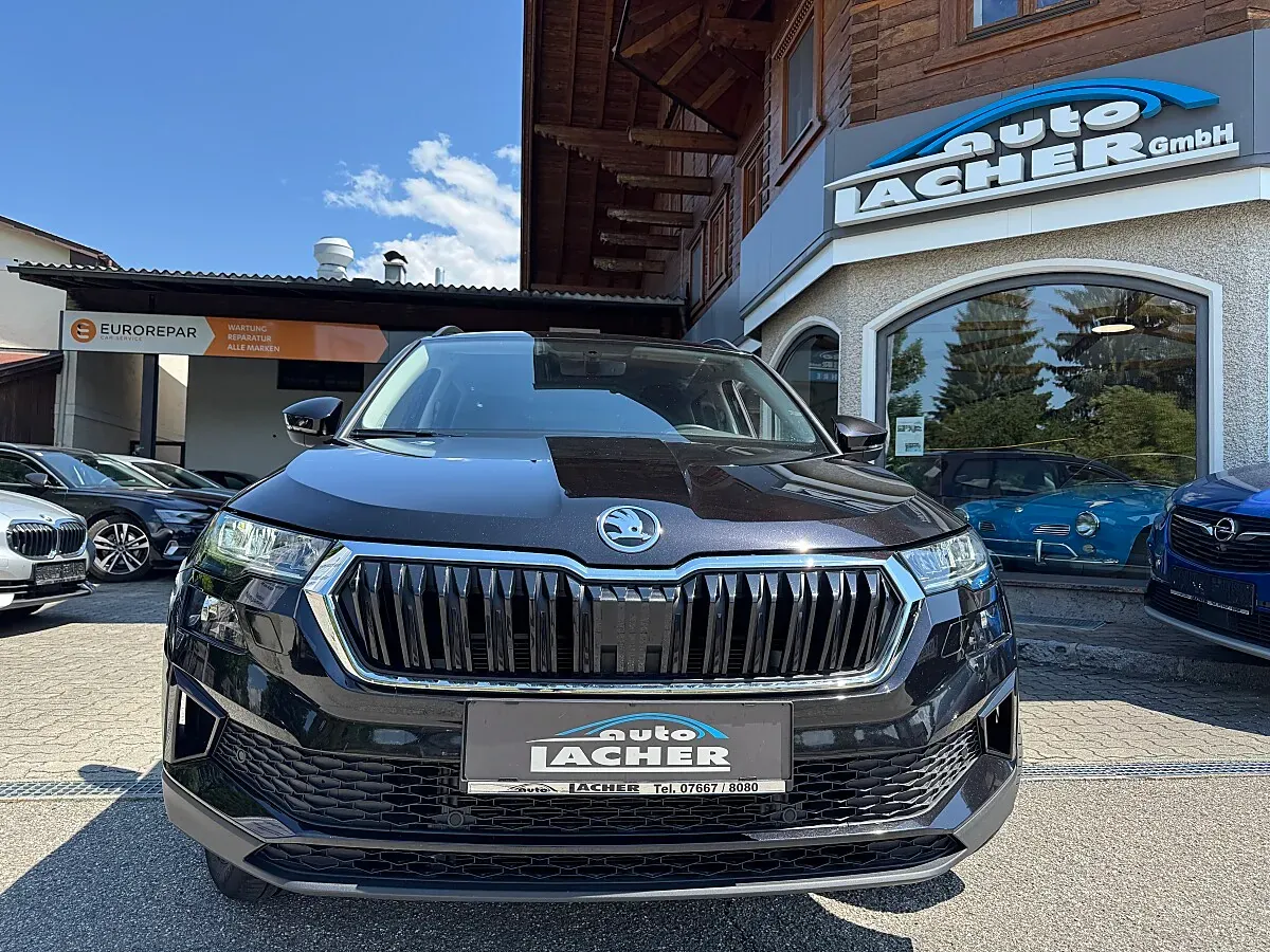 Skoda Karoq 2024 photo 2