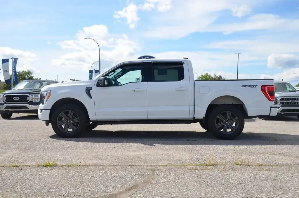 Ford F-150 2023 photo 3