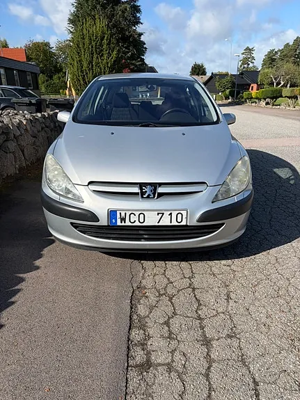 Peugeot 307 2005 photo 3