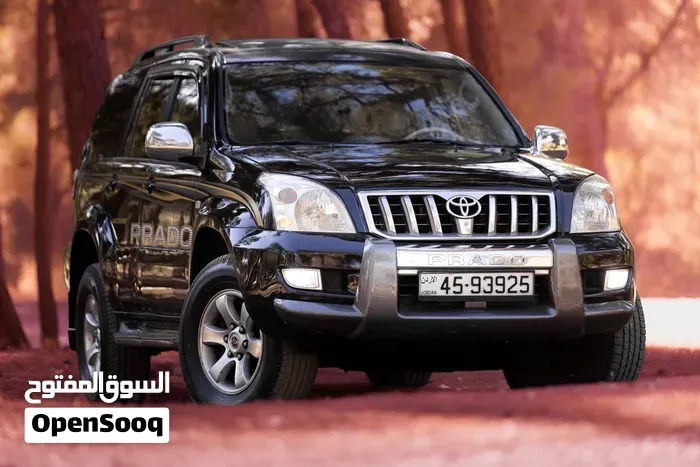 Toyota Prado 2008 photo 4