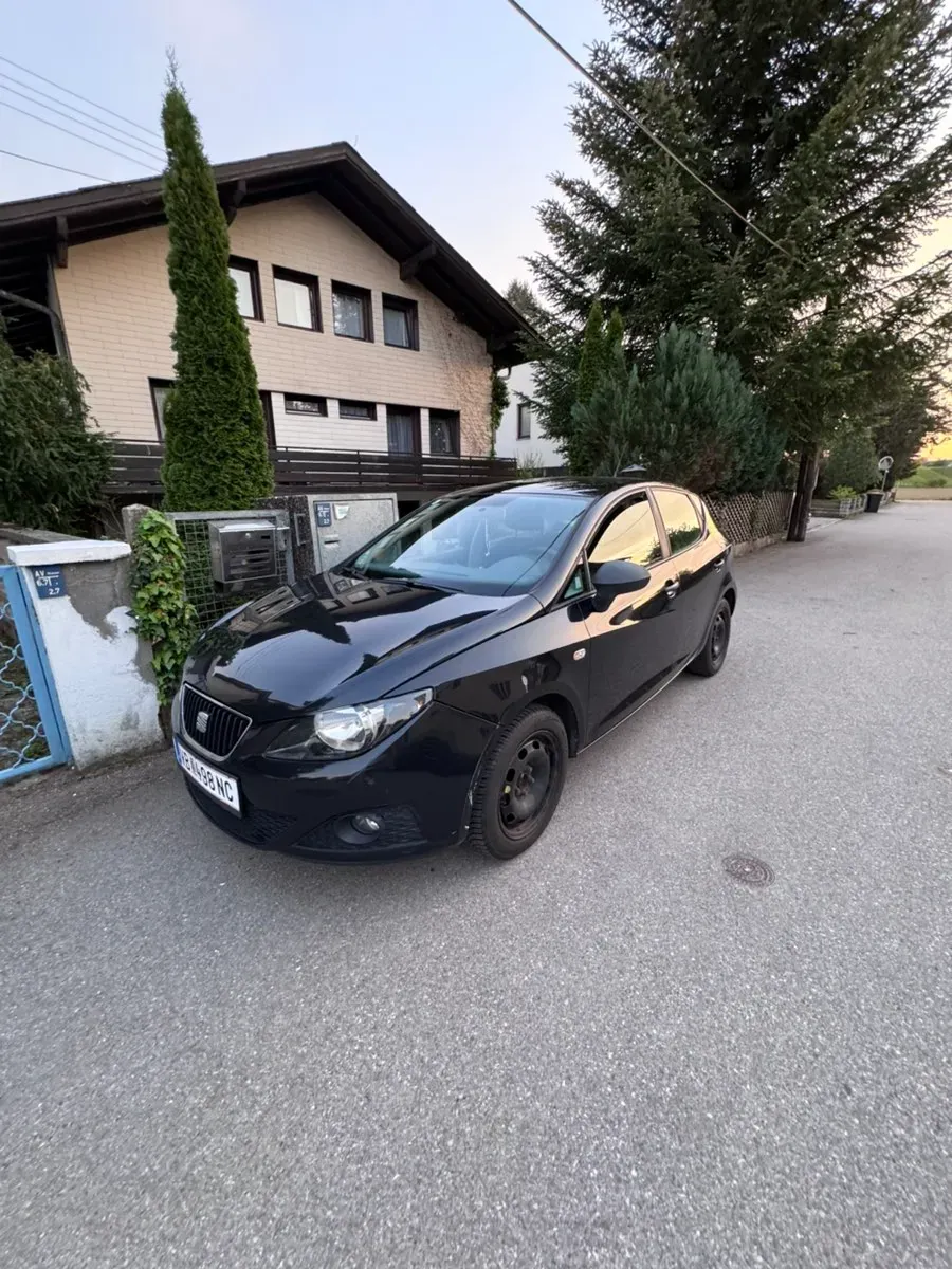 Seat Ibiza 2011 photo 2