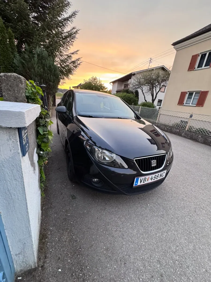 Seat Ibiza 2011 photo 3