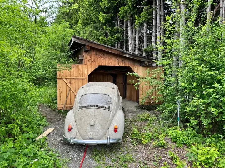 Volkswagen Käfer
