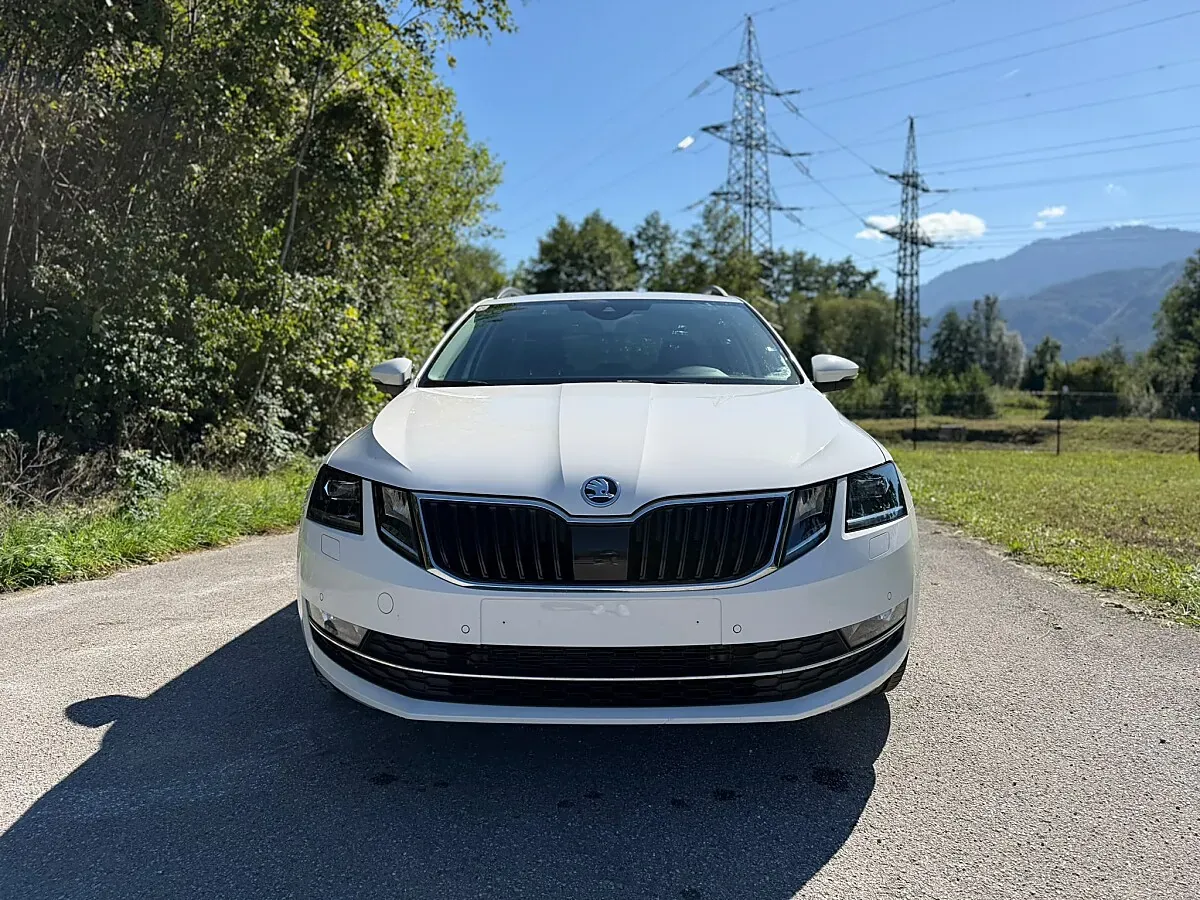 Skoda Octavia 2019 photo 2