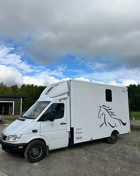 Mercedes-Benz Sprinter 313 2004 photo 2