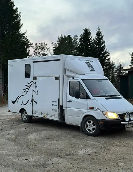 Mercedes-Benz Sprinter 313