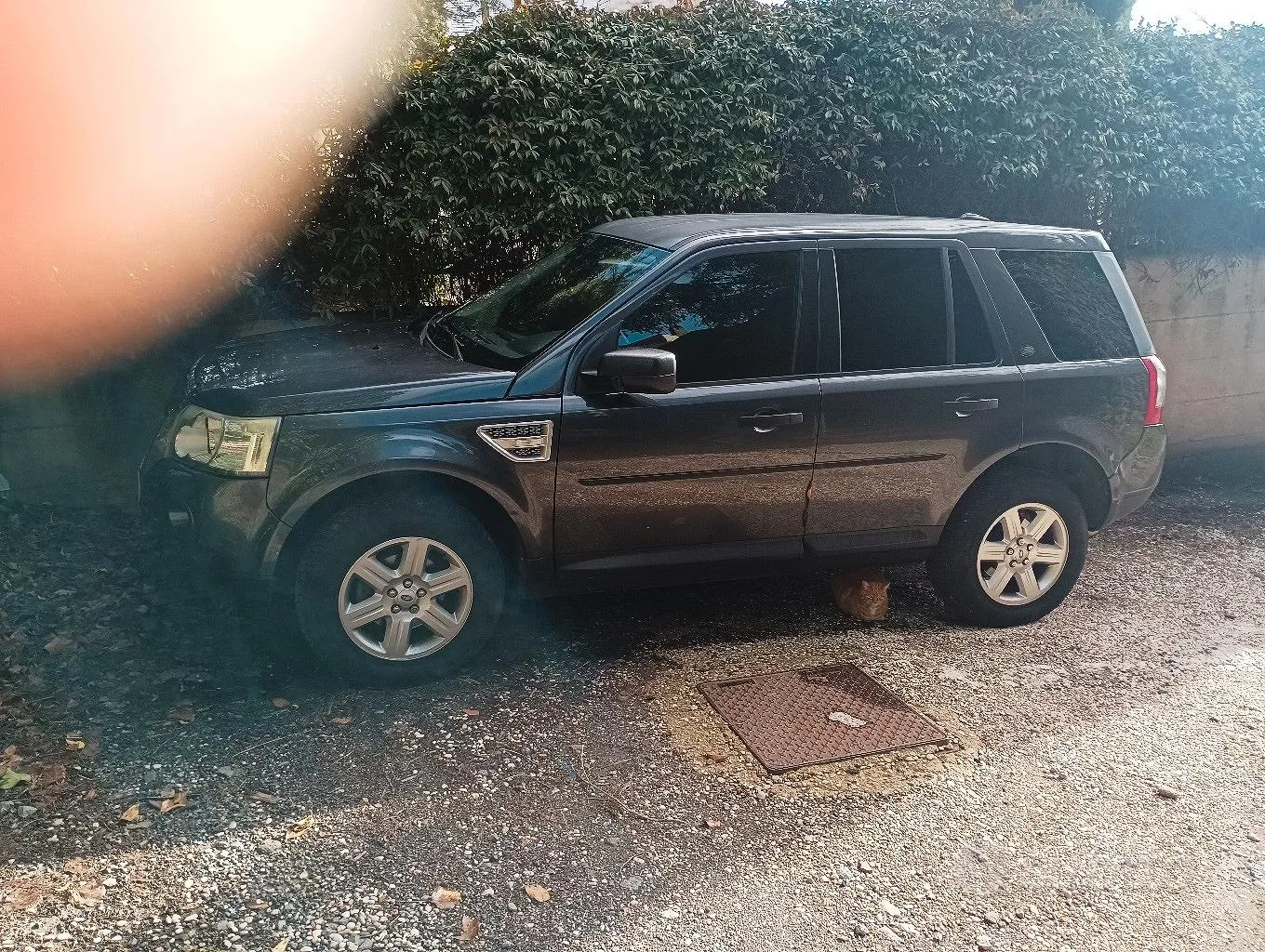 Land Rover Freelander 2010 photo 5
