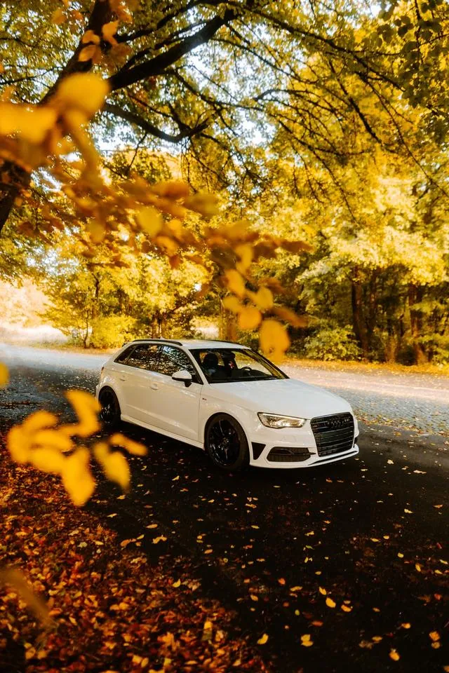 Audi A3 8V Sportback