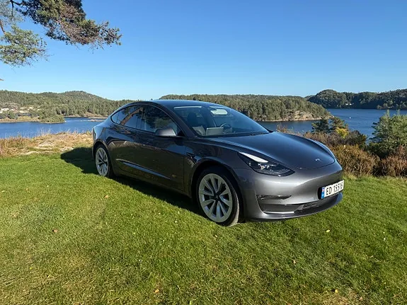Tesla Model 3 2021 photo 2