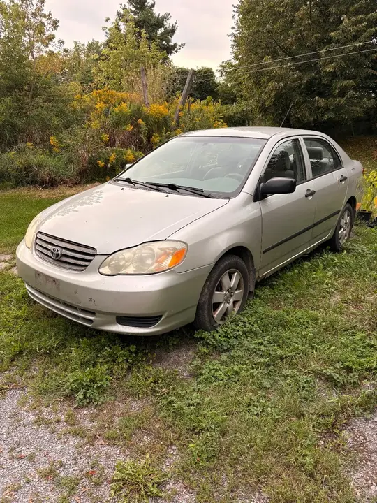 Toyota Corolla