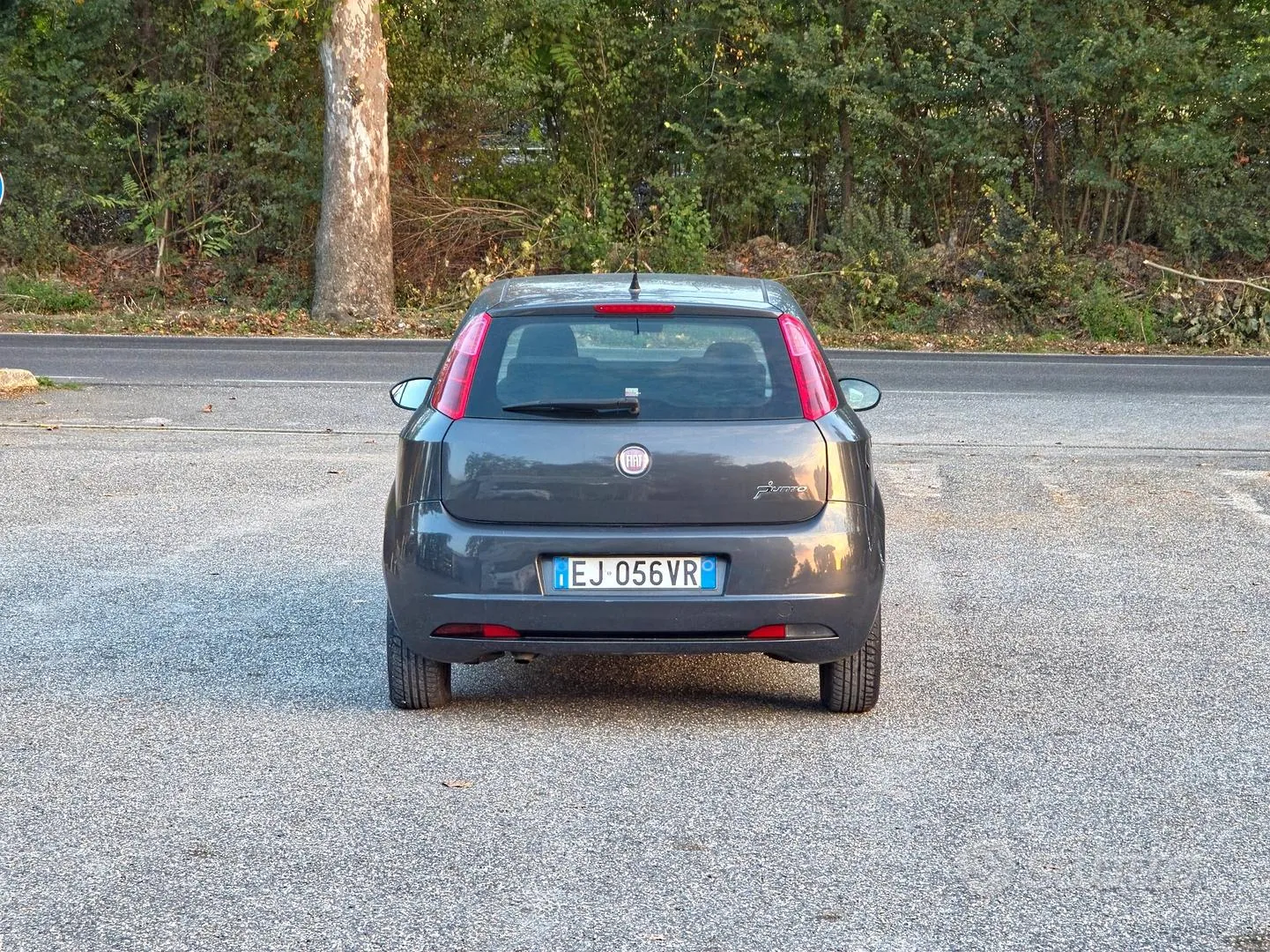 Fiat Grande Punto 2011 photo 5
