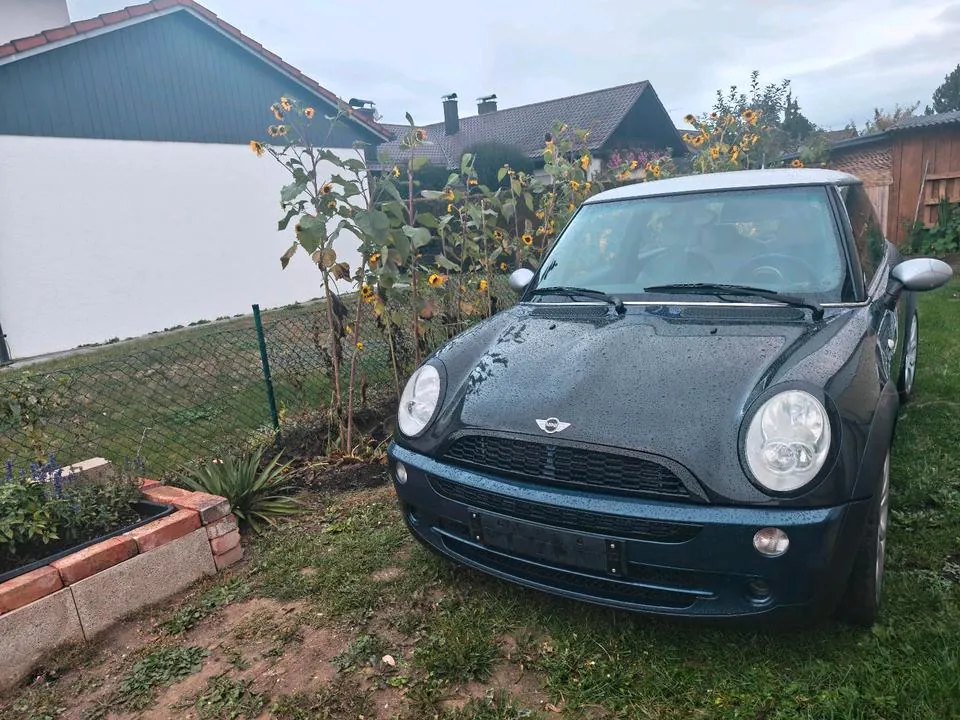 Mini Cooper R50