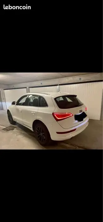 Audi Q5 2013 photo 2