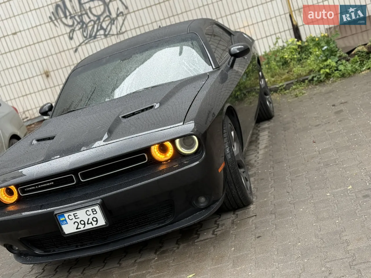 Dodge Challenger 2015 photo 5