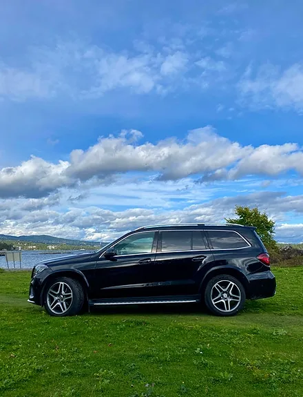 Mercedes-Benz Gls350 D 2017 photo 3