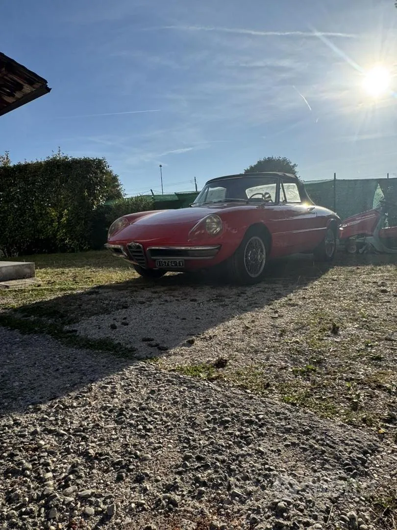 Alfa Romeo Duetto