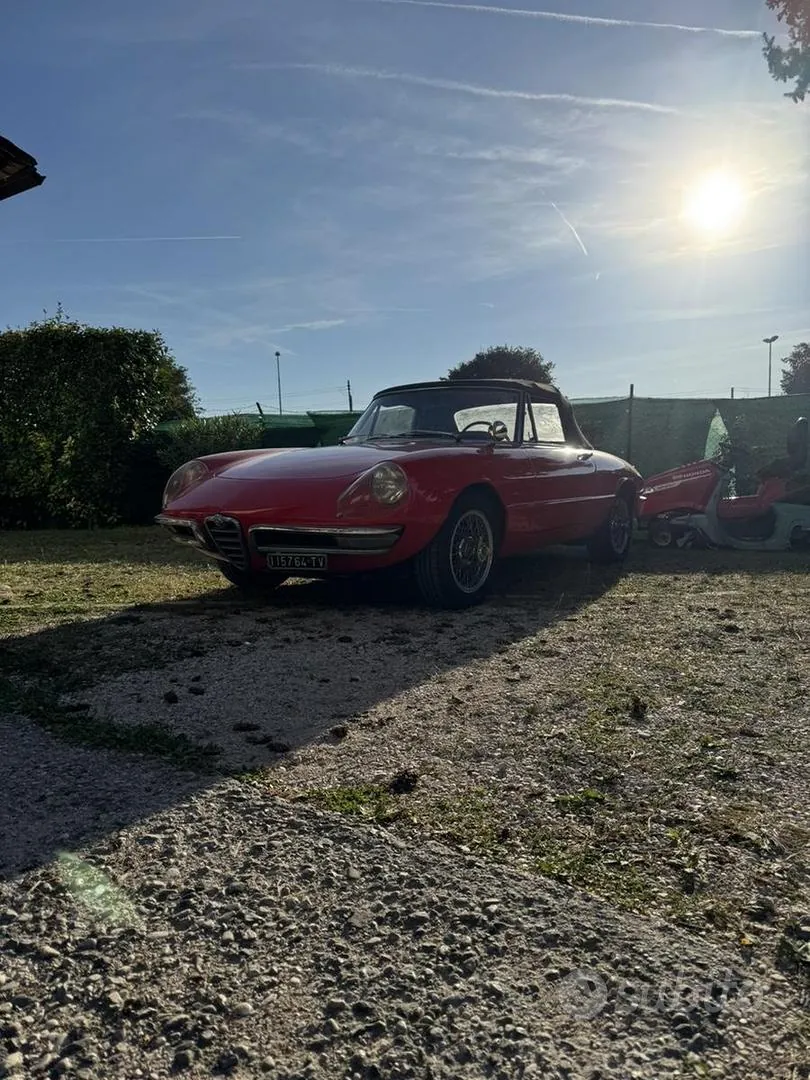 Alfa Romeo Duetto 1966 photo 3