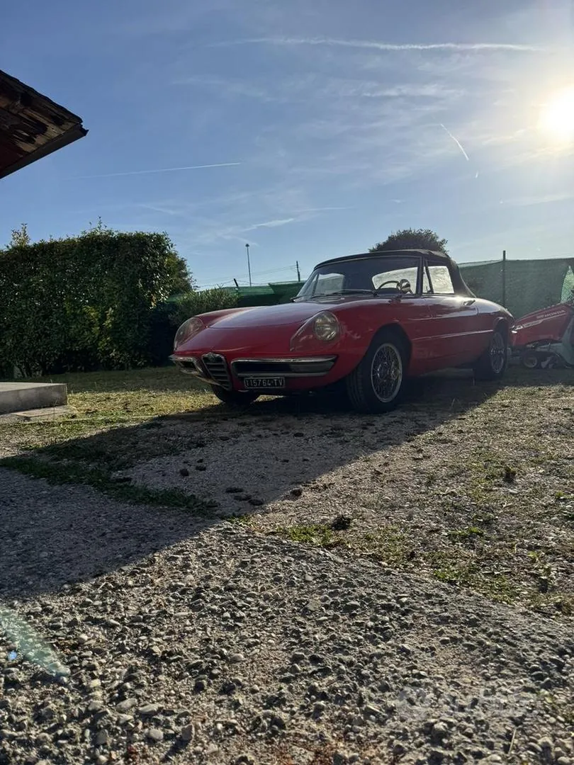 Alfa Romeo Duetto 1966 photo 2