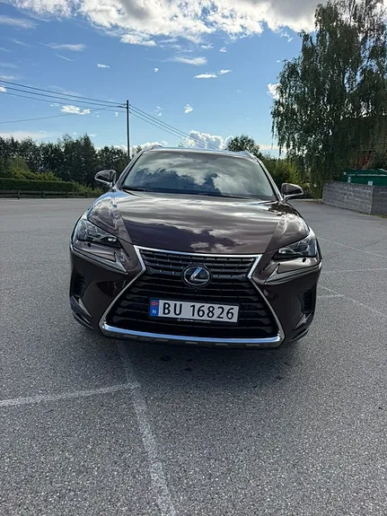 Lexus Nx300H 2020 photo 2