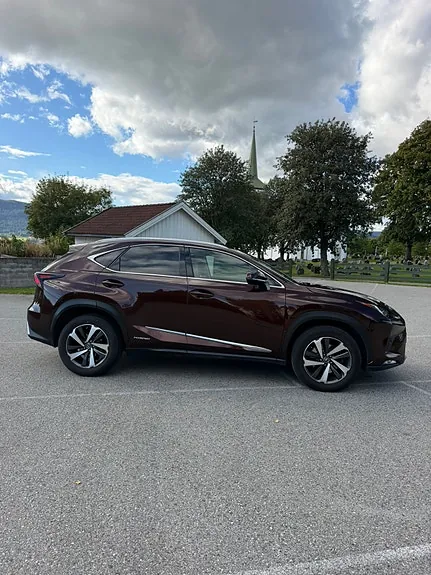 Lexus Nx300H 2020 photo 5