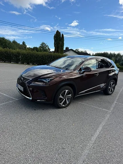 Lexus Nx300H 2020 photo 3