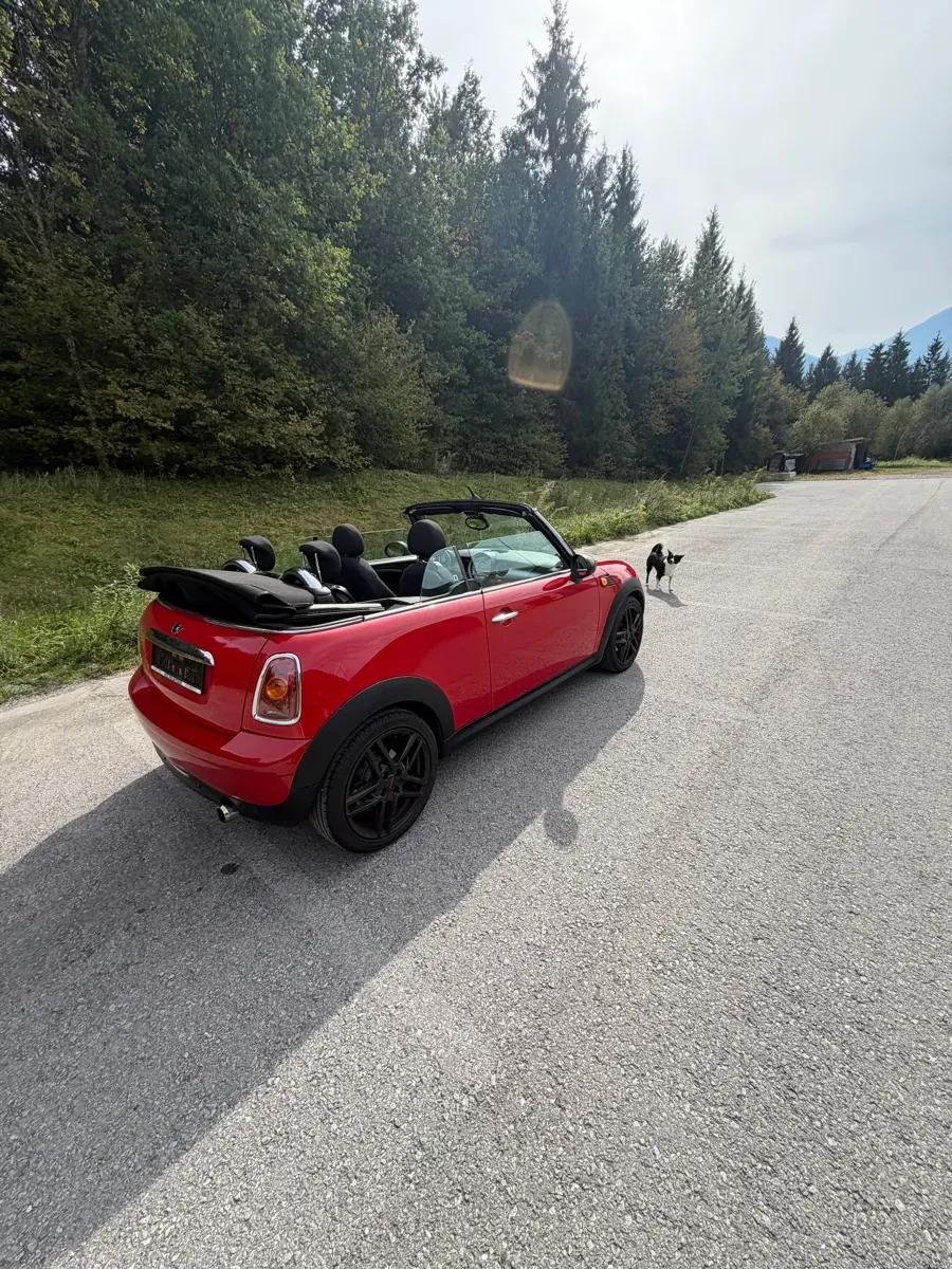 Mini Cabrio 2010 photo 3