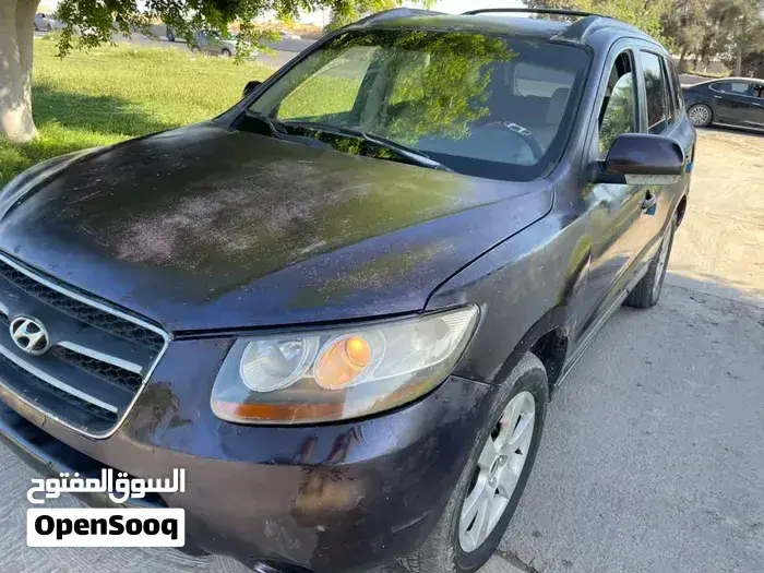 Hyundai Santa Fe 2008 photo 2