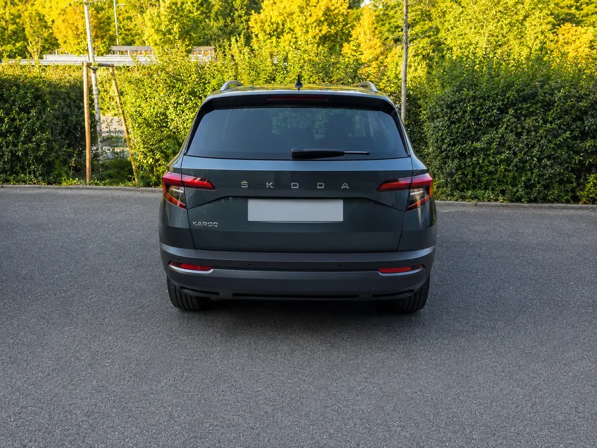 Skoda Karoq 2020 photo 3