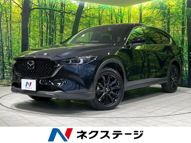 Mitsubishi Cx-8